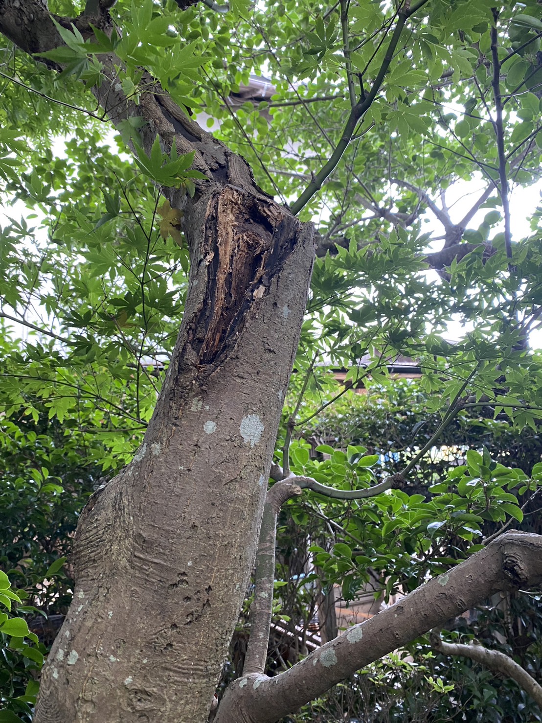 雲南市の外構リフォーム専門店｜タケゾーファーム