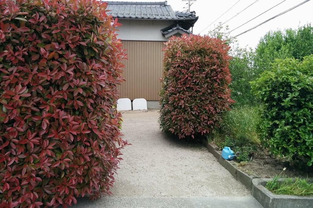 松江市で生垣の多い施工前のお庭