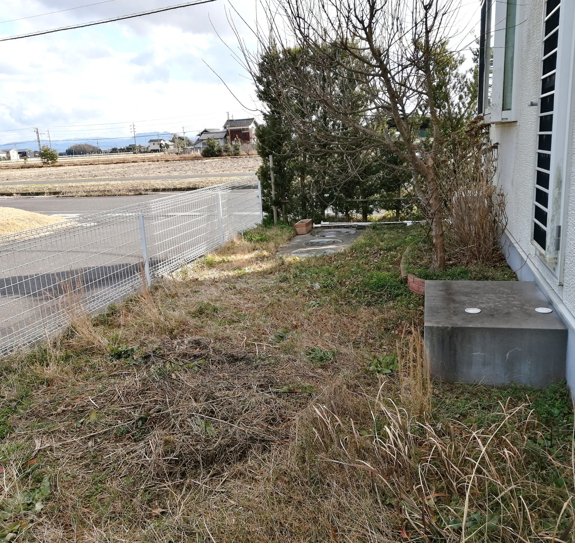 雲南市 外構リフォーム 雑草が茂った庭の施工前の様子