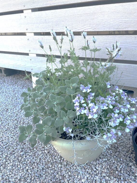 雲南市 外構デザイン 鉢植えの植栽で彩る玄関まわり